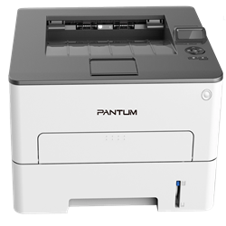 Impresora Pantum P3010DW Laser Monocromatica